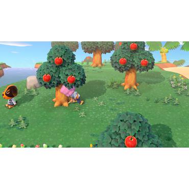 Animal Crossing New Horizons Nintendo Switch