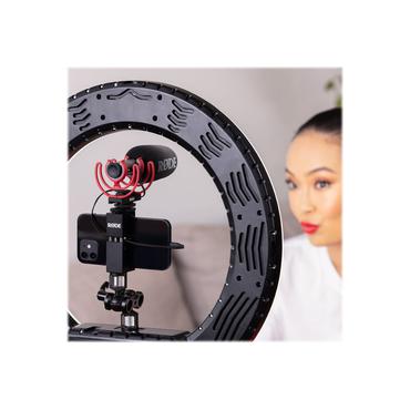 R&oslash;de VideoMic GO II