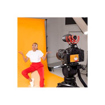 R&oslash;de VideoMic GO II