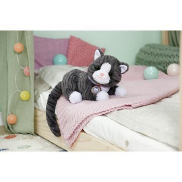 BABY born My Cat Cookie with Box Dukkekæledyr