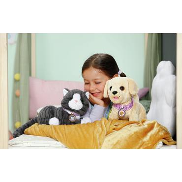 BABY born My Cat Cookie with Box Dukkekæledyr