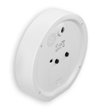 maui childrens clock