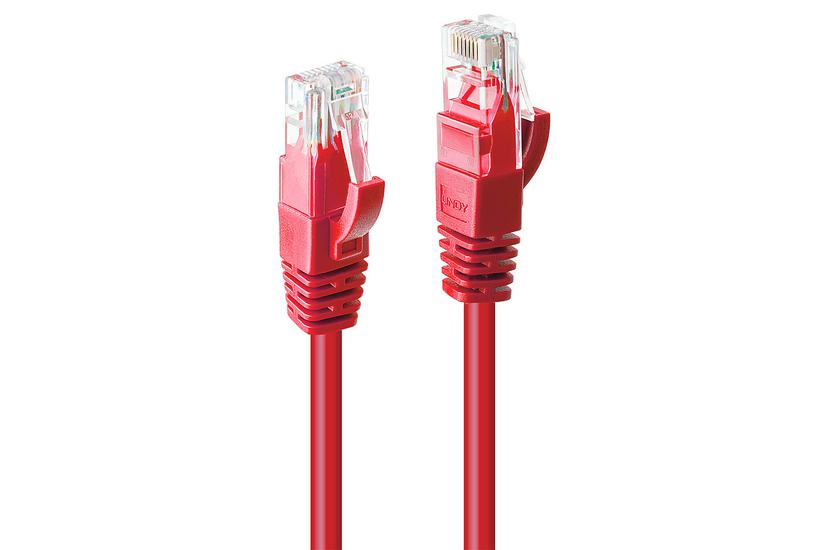 Lindy 48033 netværkskabel Rød 2 m Cat6 U/UTP (UTP)