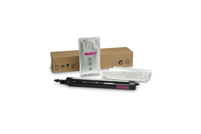 HP - magenta - developer