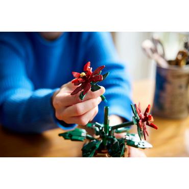 LEGO Icons TBA 10370