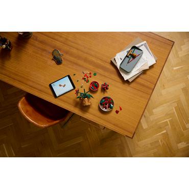 LEGO Icons TBA 10370