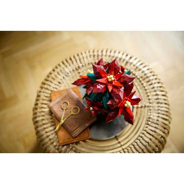 LEGO Icons TBA 10370