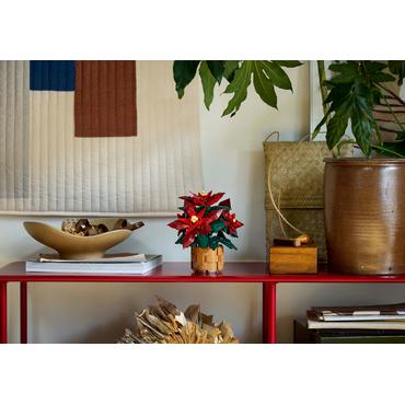 LEGO Icons TBA 10370