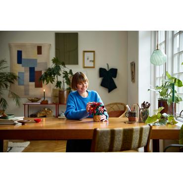 LEGO Icons TBA 10370