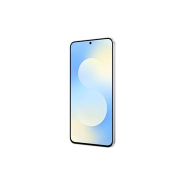 Samsung Galaxy S25 FE 17 cm (6.7") Dual SIM Android 16.0 5G USB Type-C 8 GB 128 GB 4900 mAh Blå