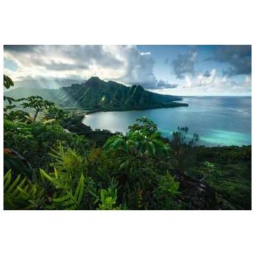 Ravensburger 16106 puslespil Kontur puslespil 5000 stk Flora