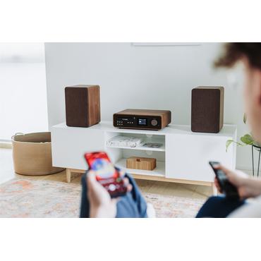 Pure Classic Stereo Coffee Black/Walnut EU/UK
