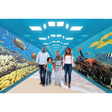 Epson ELP LX02WS - ultrakort kasteobjektiv - 8 mm