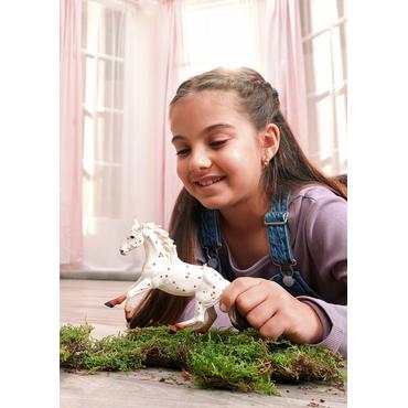 Horse Club Knabstrupper Stute