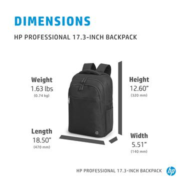 HP Professional