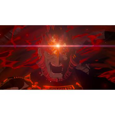 The Legend of Zelda  Tears of the Kingdom (NS2)