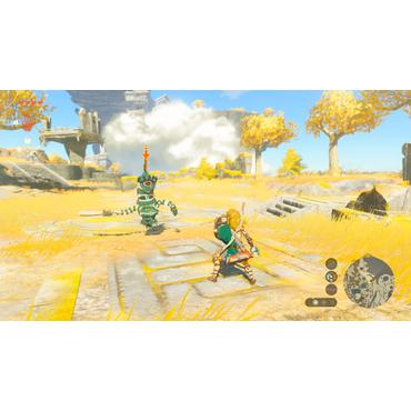The Legend of Zelda  Tears of the Kingdom (NS2)