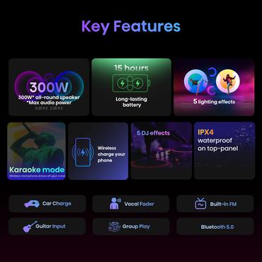 Hisense PartyRocker One HP100 Festtaler Sort, Gr&oslash;n 300 W