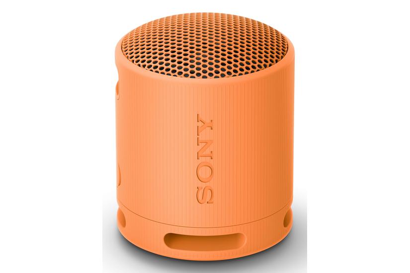 Sony SRS-XB100 - h&ouml;gtalare - f&ouml;r b&auml;rbar anv&auml;ndning - tr&aring;dl&ouml;s