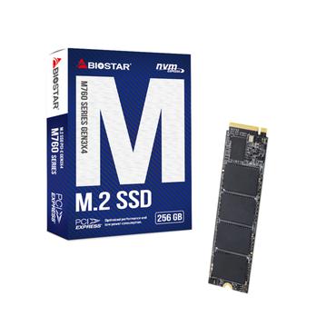 SSD Biostar M760 256GB