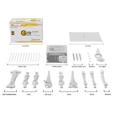 850W Core SRP-CGX851-A5A32SF-W ATX 3.1 80+ Gold