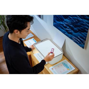 HP DeskJet 2910 Trådløst All-in-One Farve Printer