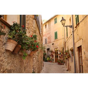 Canon RF zoomobjektiv - 24 mm - 105 mm