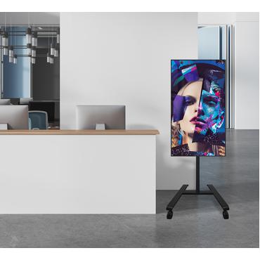 Momentum One Flat Screen