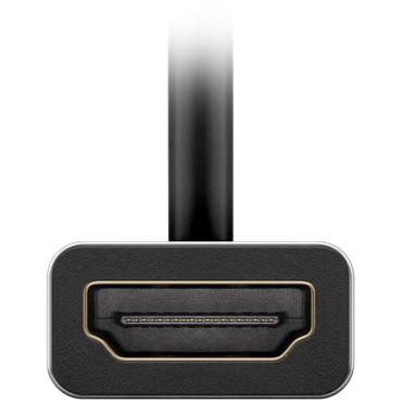 Goobay 60194 USB grafisk adapter Sort, S&oslash;lv