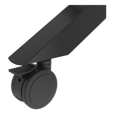 Momentum Edge XL Interactive