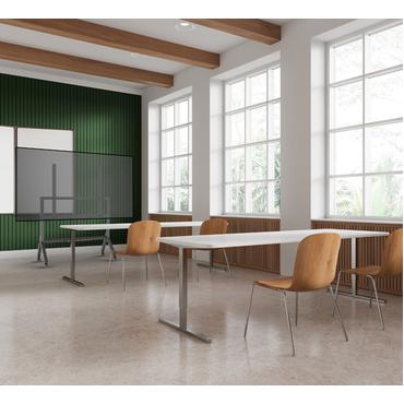 Momentum Edge XL Interactive