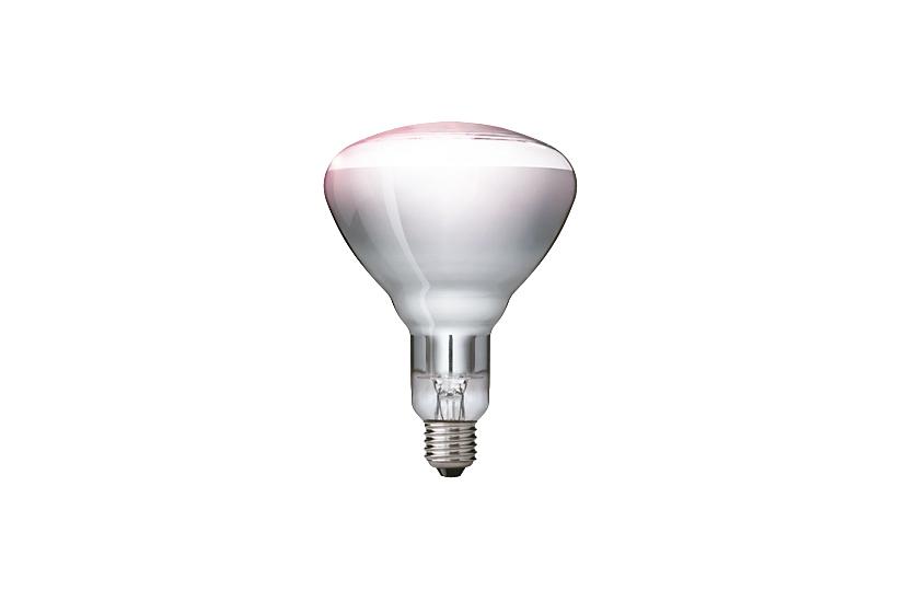 Philips Infrarotlampe BR125 IR 250W E27 230-250V CL