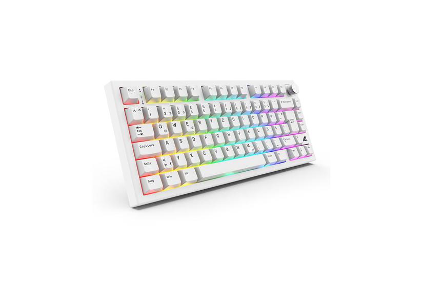 Sharkoon Tangentbord - Kabel - 75 % - Vit - USB-C to USB-A