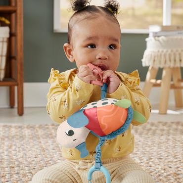 Fisher-Price Planet Friends Sea Me Bounce Turtle