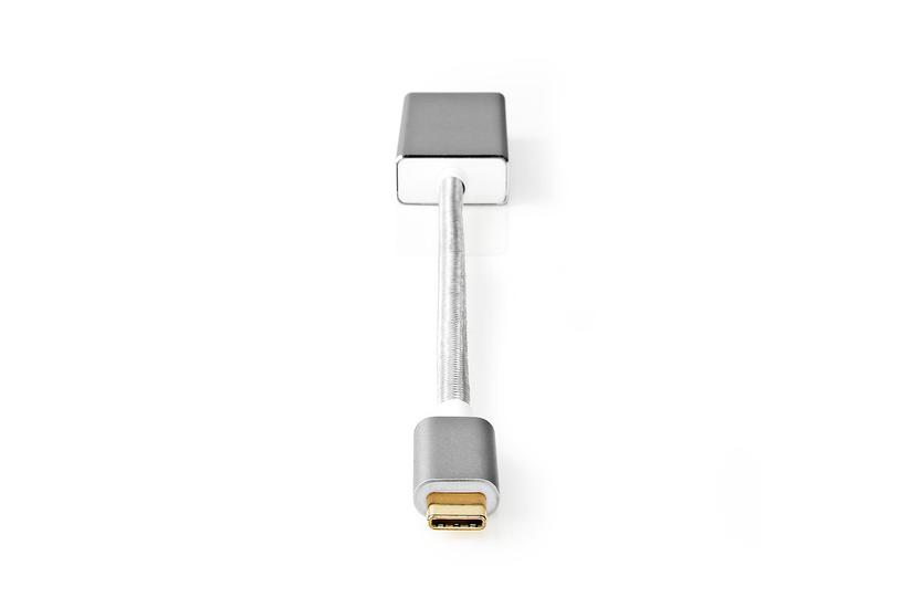 Nedis Fabritallic - USB / DisplayPort-adapter - USB-C till DisplayPort - 20 cm