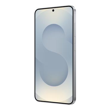 Samsung Galaxy S25 - Enterprise Edition - silver shadow - 5G smartphone - 256 GB - GSM