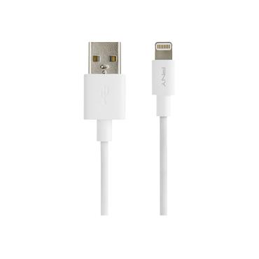 PNY Charge & Sync