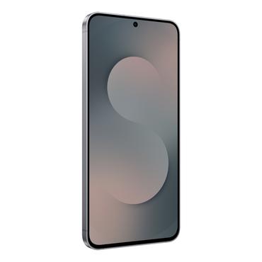 Samsung Galaxy S25 FE SM-S731B/DS 17 cm (6.7") Dual SIM Android 16.0 5G USB Type-C 8 GB 256 GB 4900 mAh Sort