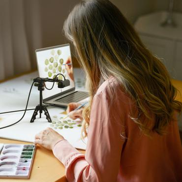 j5create JVU250 - Webbkamera - f&auml;rg - 2 MP - 1920 x 1080 - ljud - USB 2.0 / USB-C - MJPEG, H.264, YUV2 - DC 5 V