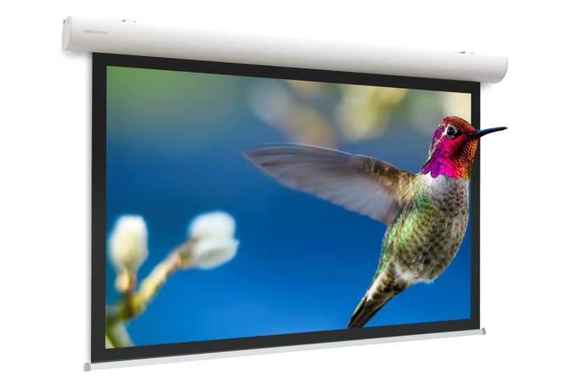 Projecta Elpro Concept RF 131x210 Matte