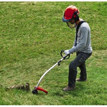 Einhell GC-PT 2538/1 I AS 600 W Benzin Sort, Gr&aring;, R&oslash;d