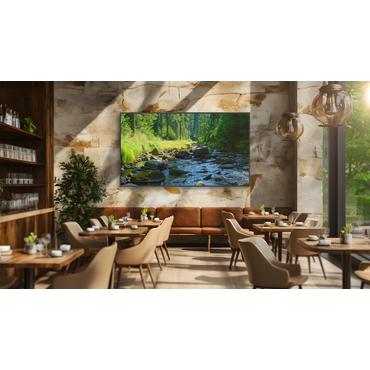 Sony Bravia Professional Displays FW-98BZ53L BZ53L Series