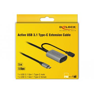 Delock - USB typ C-f&ouml;rl&auml;ngningskabel - 5 m