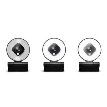 LogiLink UA0384 webcam 2 MP 1920 x 1080 pixel USB 2.0 Sort, Hvid
