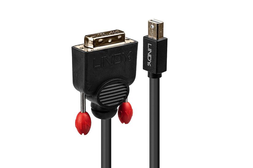 Lindy 41952 videokabel adapter 2 m Mini DisplayPort DVI-D Sort