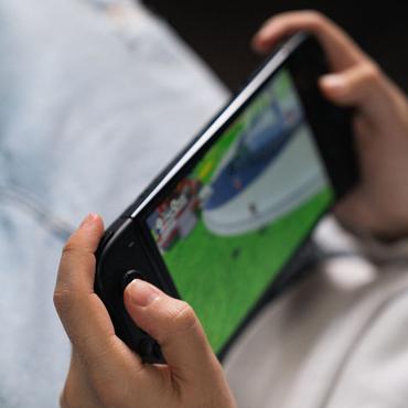 Lexip JVASWI00106 spil-controller Sort Bluetooth Gamepad Analog/digital Nintendo Switch, Nintendo Switch OLED