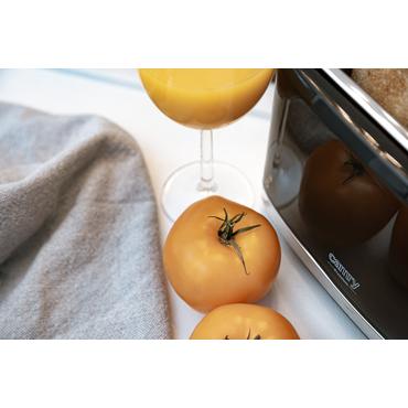 Camry Premium CR 3218 br&oslash;drister 6 2 skive(r) 900 W Sort, S&oslash;lv