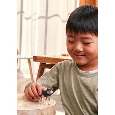 Wild Life Amerikanischer Wolf