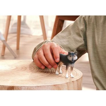 Wild Life Amerikanischer Wolf