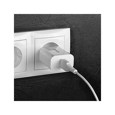 Lindy 18W USB Typ A Charger Schnelles Laden über ein USB Typ A-Kabel (73412)